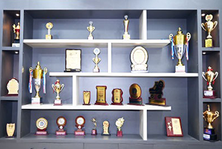 Team Member Image